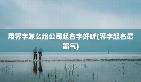 用界字怎么给公司起名字好听(界字起名最霸气)