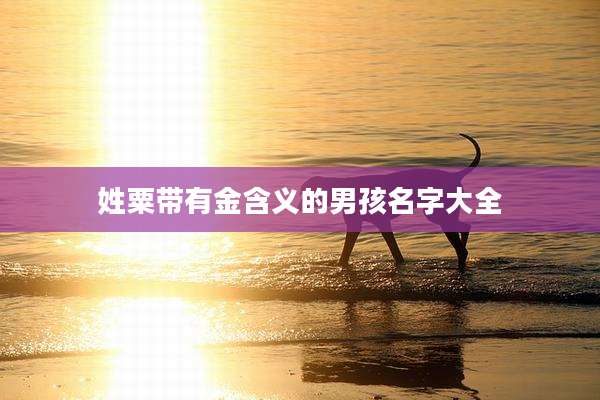 姓粟带有金含义的男孩名字大全