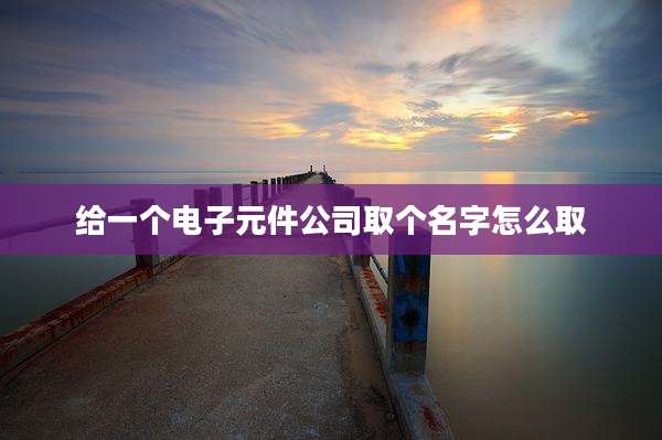 给一个电子元件公司取个名字怎么取