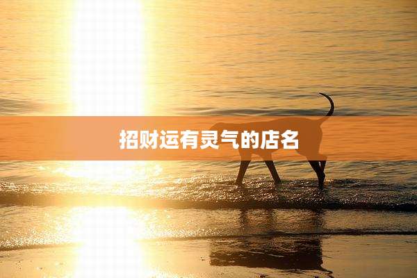 招财运有灵气的店名