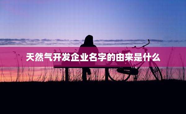 天然气开发企业名字的由来是什么