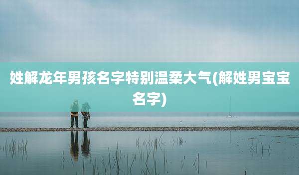 姓解龙年男孩名字特别温柔大气(解姓男宝宝名字)