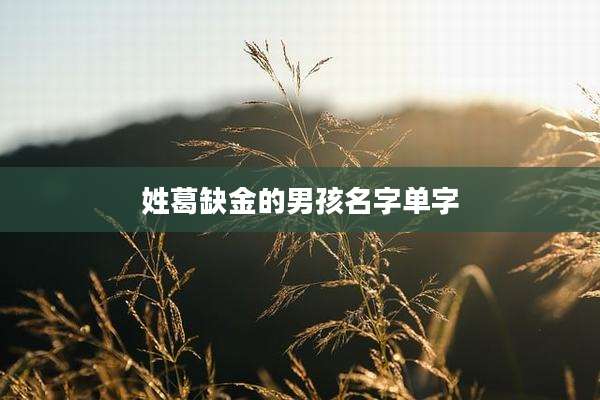 姓葛缺金的男孩名字单字