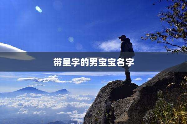 带呈字的男宝宝名字