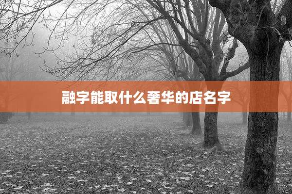 融字能取什么奢华的店名字