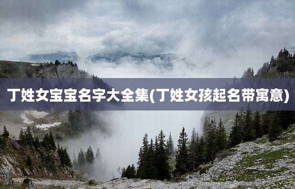 丁姓女宝宝名字大全集(丁姓女孩起名带寓意)