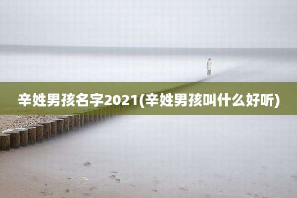 辛姓男孩名字2021(辛姓男孩叫什么好听)