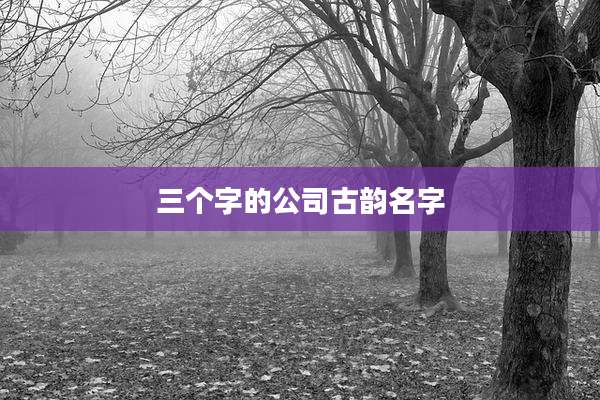 三个字的公司古韵名字