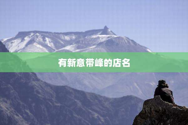 有新意带峰的店名