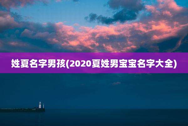 姓夏名字男孩(2020夏姓男宝宝名字大全)