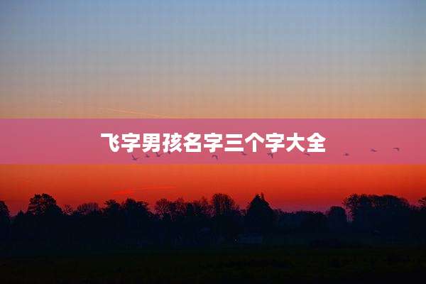 飞字男孩名字三个字大全