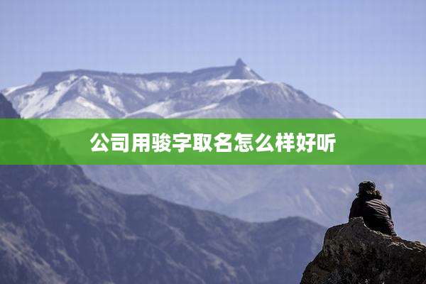 公司用骏字取名怎么样好听