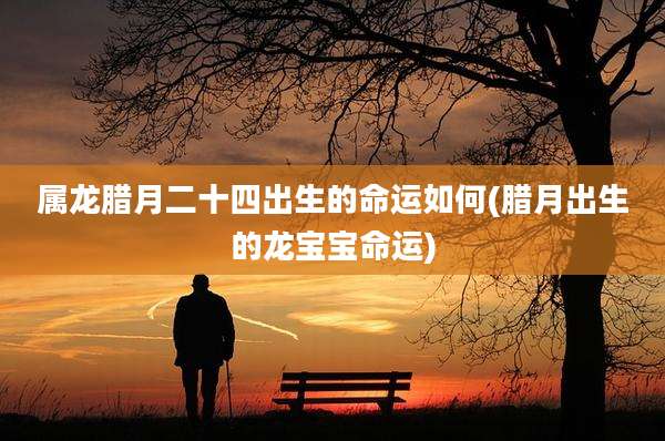 属龙腊月二十四出生的命运如何(腊月出生的龙宝宝命运)