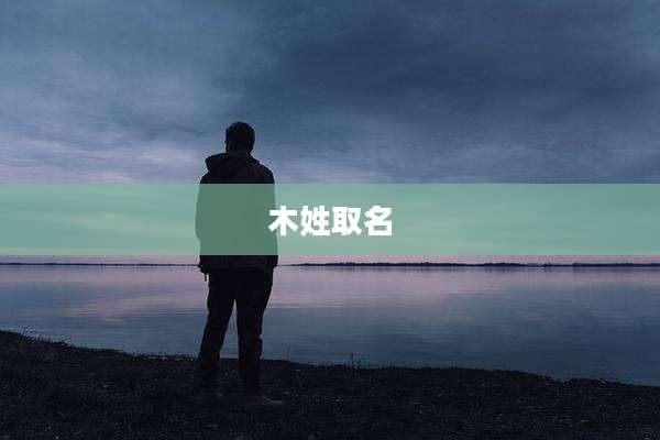 木姓取名