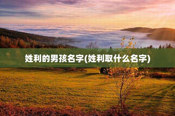 姓利的男孩名字(姓利取什么名字)