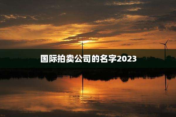 国际拍卖公司的名字2023