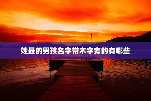 姓聂的男孩名字带木字旁的有哪些