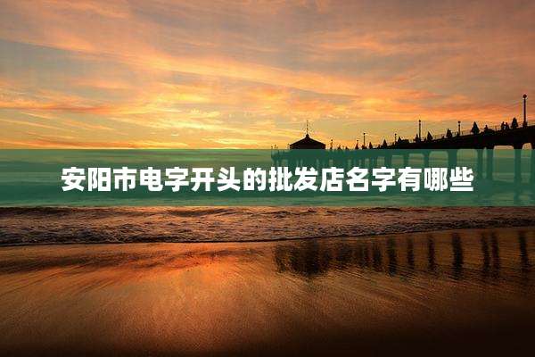 安阳市电字开头的批发店名字有哪些