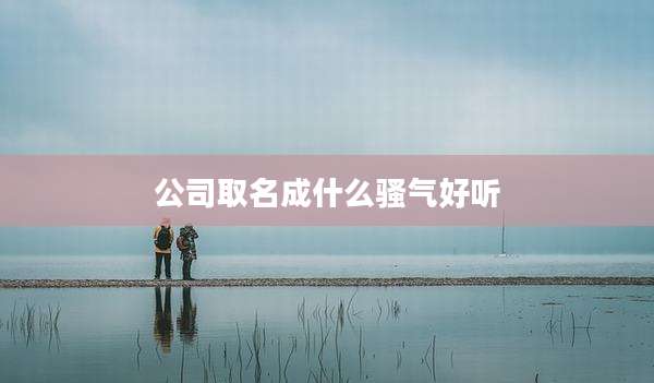 公司取名成什么骚气好听