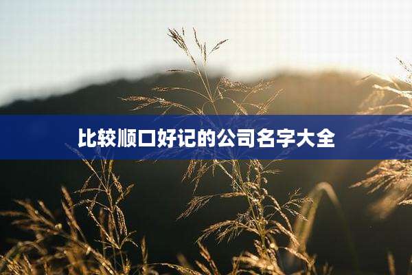 比较顺口好记的公司名字大全