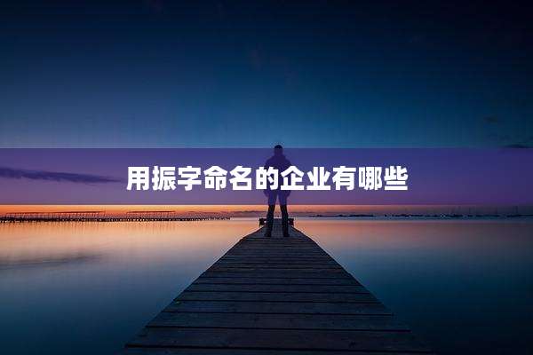 用振字命名的企业有哪些