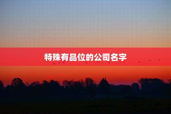 特殊有品位的公司名字