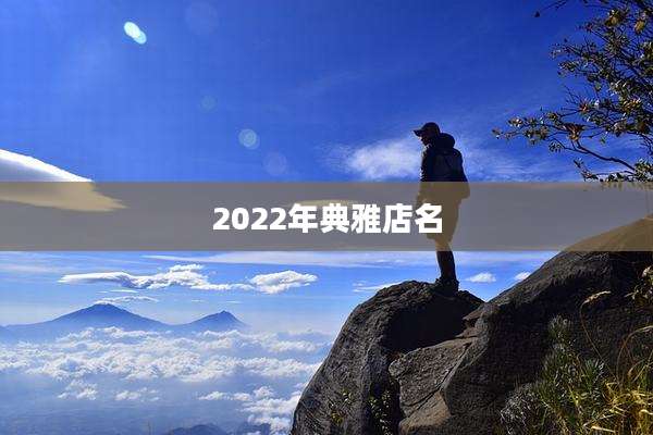 2022年典雅店名