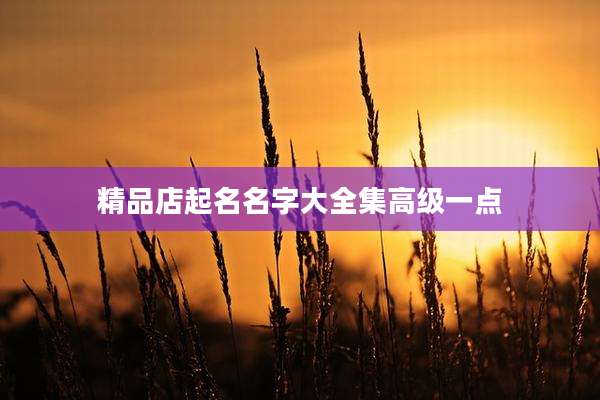 精品店起名名字大全集高级一点