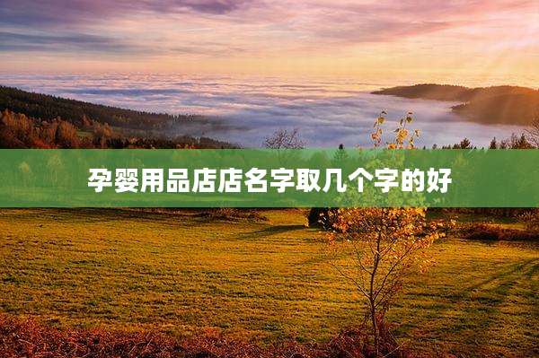 孕婴用品店店名字取几个字的好