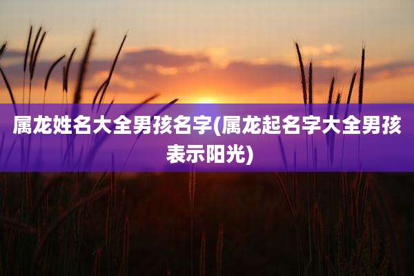 属龙姓名大全男孩名字(属龙起名字大全男孩 表示阳光)