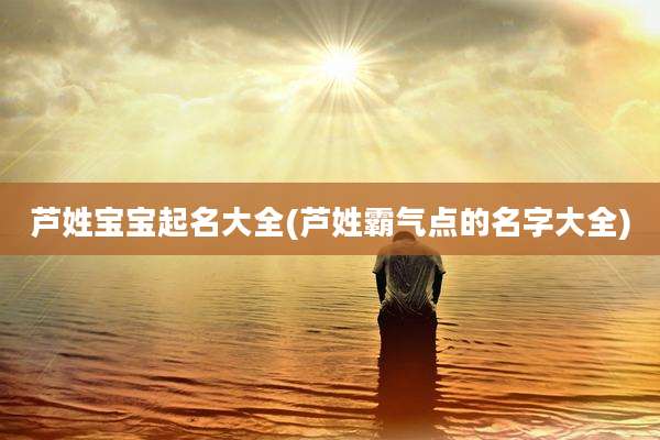 芦姓宝宝起名大全(芦姓霸气点的名字大全)