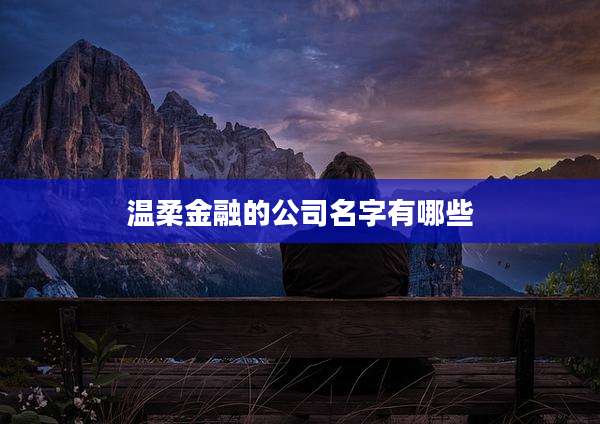 温柔金融的公司名字有哪些