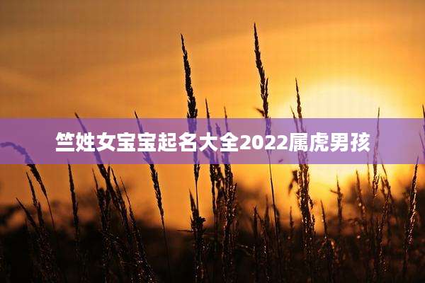 竺姓女宝宝起名大全2022属虎男孩