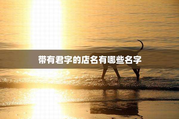 带有君字的店名有哪些名字