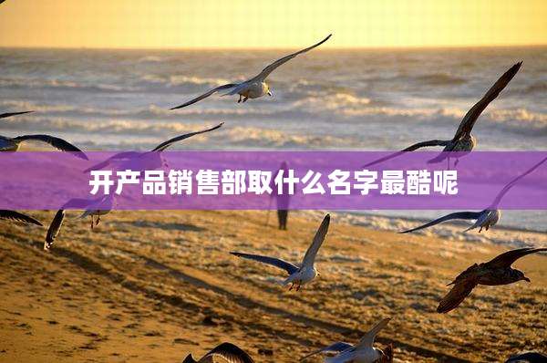 开产品销售部取什么名字最酷呢