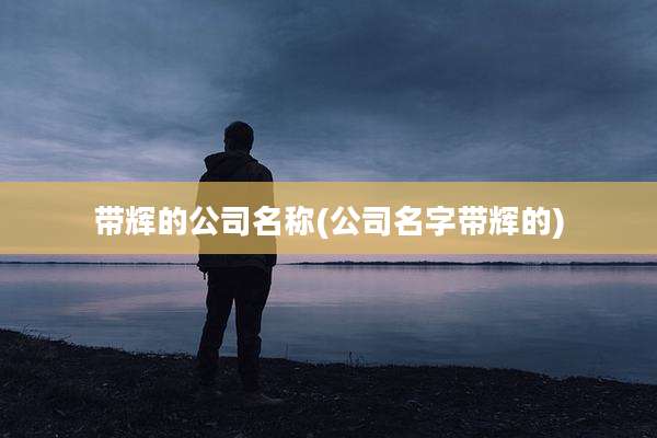 带辉的公司名称(公司名字带辉的)