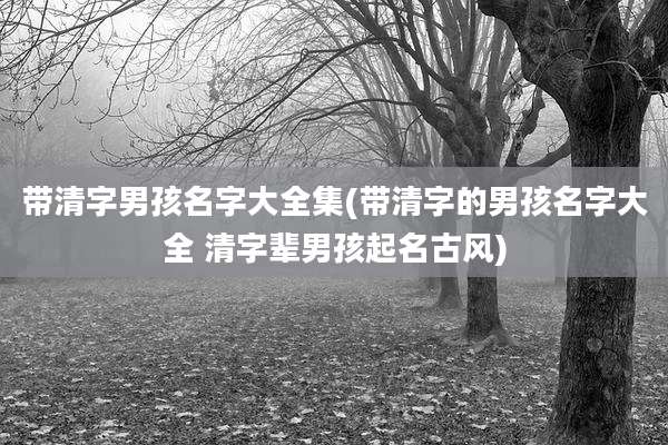 带清字男孩名字大全集(带清字的男孩名字大全 清字辈男孩起名古风)