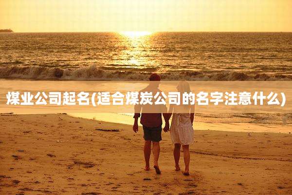 煤业公司起名(适合煤炭公司的名字注意什么)