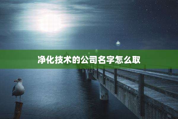 净化技术的公司名字怎么取