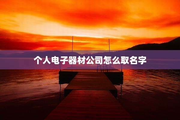 个人电子器材公司怎么取名字