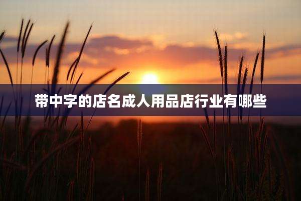 带中字的店名成人用品店行业有哪些