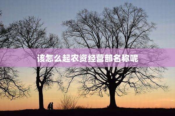 该怎么起农资经营部名称呢