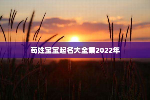 苟姓宝宝起名大全集2022年