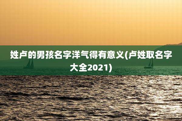 姓卢的男孩名字洋气得有意义(卢姓取名字大全2021)