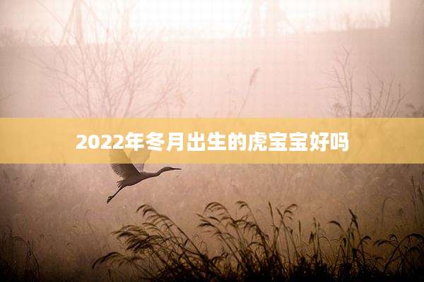 2022年冬月出生的虎宝宝好吗