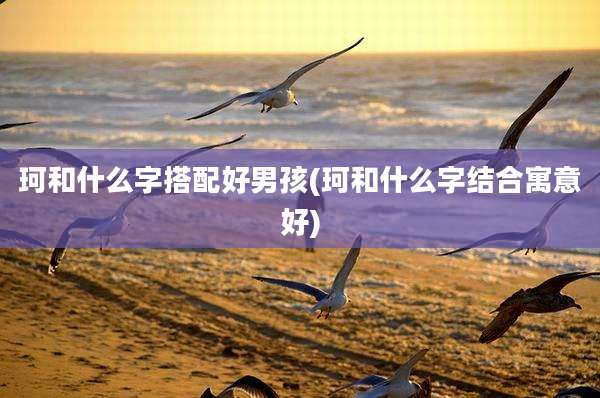珂和什么字搭配好男孩(珂和什么字结合寓意好)