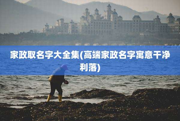家政取名字大全集(高端家政名字寓意干净利落)