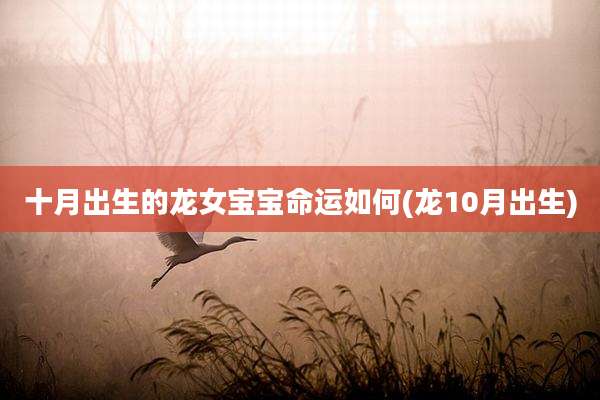 十月出生的龙女宝宝命运如何(龙10月出生)