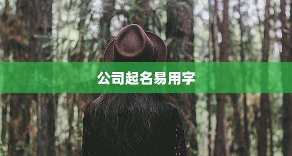 公司起名易用字