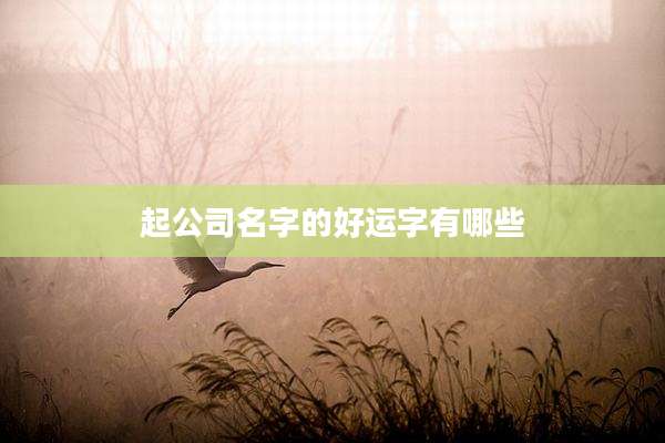 起公司名字的好运字有哪些